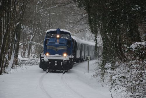 Historischer Zug mit Diesellok V1 im tief verschneiten Wald am 24.12.2010